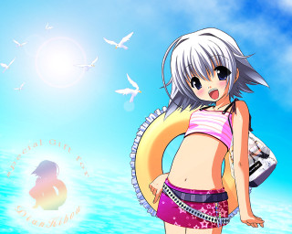 Beach girl bikini bird horizon - a life preserver free wallpaper