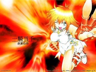 Eizan kikukawa autumn fire dragon - background free wallpaper