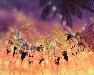 Sunset palm trees bathing suits - suit free wallpaper