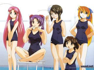 Anime pool girls bathing suits - suit free wallpaper