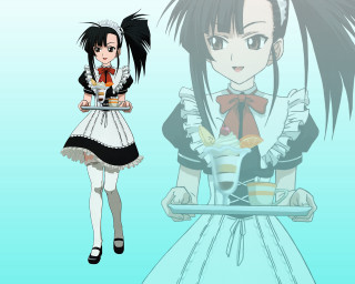 Girl tray dress anime maid - anime art free wallpaper