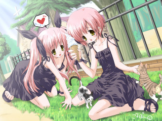 Two girls dresses cat kitten - their lap free wallpaper