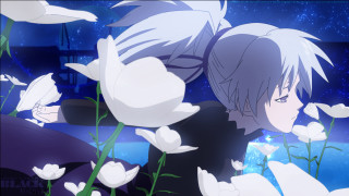 Whitehair man field flowers night - a field of flowers free wallpaper