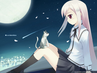 Pink hair girl cat moon - a ledge free wallpaper
