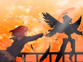Girl angel railing sunset bird - a sunset in the background and a bird free wallpaper