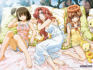 Three girls bed stuffed animal - three girl free wallpaper