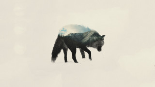 Wolf snow mountain sky clouds - surrealism free wallpaper