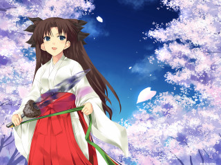 Woman red dress bird white 2 - a white robe free wallpaper
