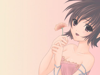 Alice prin flower pink anime - a flower free wallpaper
