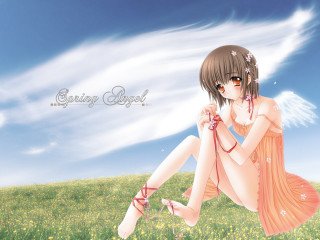 Girl dress grass sky clouds - the background free wallpaper
