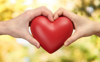 Hands heart tree background blurred - background of leaves free wallpaper