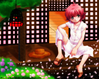 Girl bench building birdcage cherryblossoms - a bench in front free wallpaper