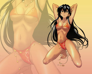 Cartoon woman bikini wind blowing 2 - the wind free wallpaper