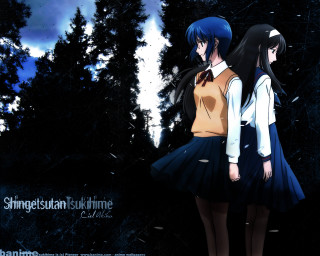 Forest night fullmoon animegirls fireworks - a full moon in the sky free wallpaper