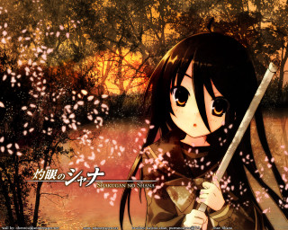 Girl sword forest autumn sunset - a red sky free wallpaper
