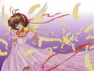 Girl pink dress bird wings - a pink dress free wallpaper