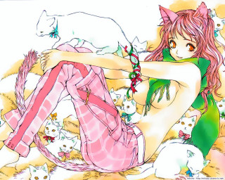 Pink haired girl green shirt 2 - furry art free wallpaper
