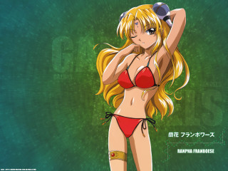 Cartoon bikini hat green background - neogeo free wallpaper