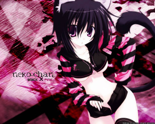 Pink black outfit cat tail - outfit free wallpaper