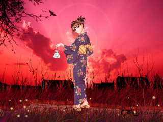 Kimono woman field bird sunset - a woman in a kimono free wallpaper