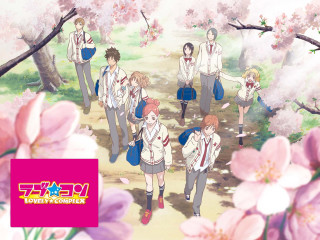 Flower group blossoms pink boys - a pink flower in the foreground free wallpaper
