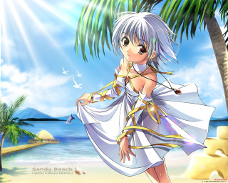Woman beach white dress palm - a palm tree free wallpaper