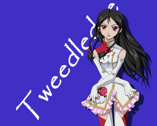 Woman white dress rose sword - a rose free wallpaper