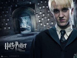 Young harry potter posing movie - his hair free wallpaper