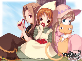 Anime girls cat lap magic - two anime girls sitting next free wallpaper