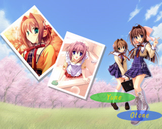 Anime girls cherry blossoms school - sots art free wallpaper