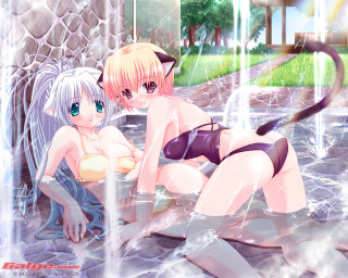 Anime girls bathing suits pool 2 - suit free wallpaper