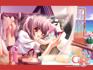Blush pinkhair redeyes window indoor - a dog and a cat free wallpaper