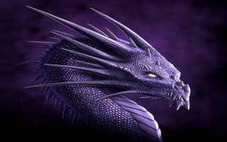 Purple dragon yellow eyes sharp - dragon art free wallpaper