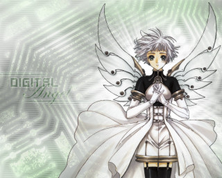 Anime whitehair wings greenbackground angel - analytical free wallpaper