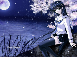 Girl lake fullmoon cherryblossoms anime - a lake free wallpaper