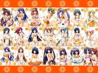 Women bikinis orange slices puzzle - serial art free wallpaper