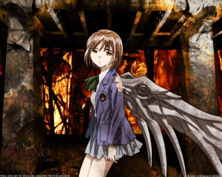 Girl coat wings fire smoke - a large object free wallpaper