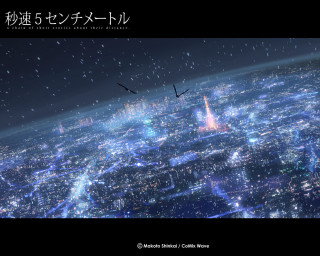 City night bird flying matte - over the city free wallpaper