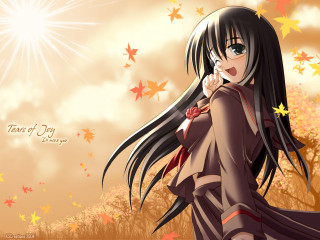 Girl dress field leaves sunset - a sun free wallpaper