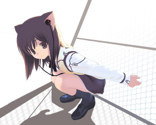 Cat suit woman shoulder cat - a woman in a cat suit free wallpaper
