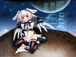 Anime girl rabbit ears sword - a floor free wallpaper for desktop