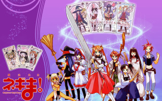 Anime cards purple background girls - card free wallpaper