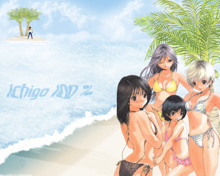 Beach girls bikini palm tree - bikinis free wallpaper