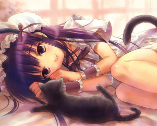 Girl cat lying anime gothic - gothic free wallpaper for desktop