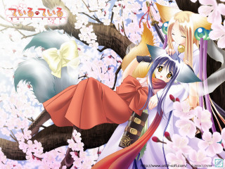 Anime fox girls hanami kimono - front free wallpaper