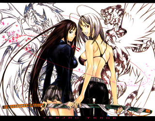 Anime girls sword wings fantasy - black clothes free wallpaper