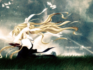 Woman longhair butterfly grass field - a grass field free wallpaper