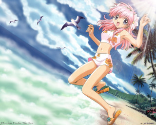 Beach girl flying bird sunlight - above her head free wallpaper