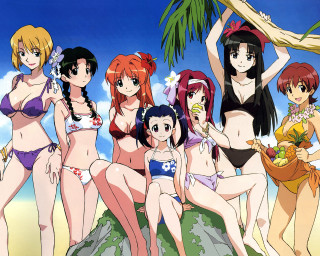 Beach girls palm tree bikini 3 - bikinis free wallpaper