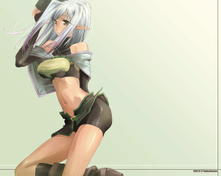 Fantasy elf woman armor silver - a short skirt free wallpaper